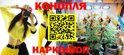 гидра Бийск