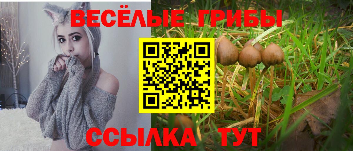 продажа наркотиков  Вход с VPN  Касимов  Галлюциногенные грибы ЛСД  Псилоцибиновые грибы MAGIC MUSHROOMS 